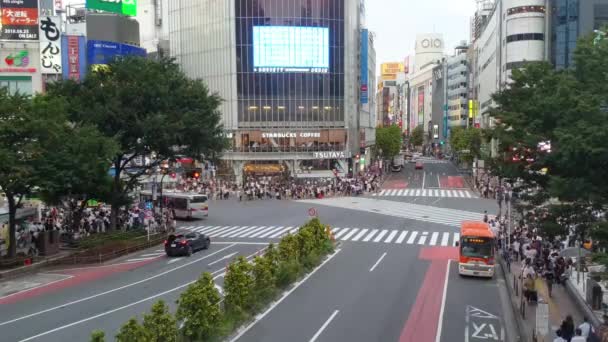 Tokio Japón Agosto 2018 Timelapse Shibuya Crossing Una Popular Intersección — Vídeo de stock