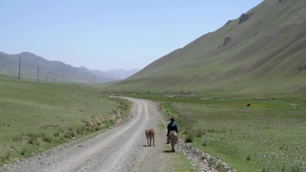 Kyrgyzstan May 2022 Kyrgyz Kid Riding Donkey Countryside Strong Bond — ストック動画