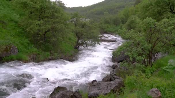Rivier Stroomt Door Het Landschap Van Het Natuurreservaat Sary Chelek — Stockvideo