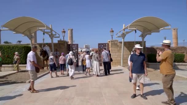 ラバト モロッコ 2222年9月9日 モハメド5世のモロッコ人警備員が馬を守っているモハメッド タワーにハッサンタワーに入る観光客 — ストック動画