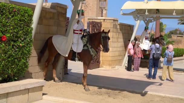 ラバト モロッコ 2222年9月9日 モハメド5世のマウソレウムの入口でハッサンタワーの馬の上のモロッコの警備員 — ストック動画