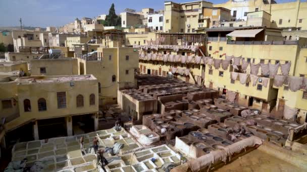 Фес Марокко Сентября 2022 Года Марокканский Кожевенный Завод Кожевенная Кожа — стоковое видео