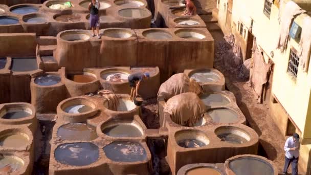 Fes Marokko September 2022 Tanner Werkt Bij Beroemde Traditionele Leerlooierij — Stockvideo