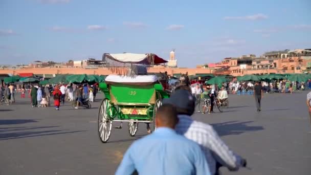 Μαρακές Μαρόκο Σεπτεμβρίου 2022 Άλογο Μεταφοράς Στη Διάσημη Πλατεία Της — Αρχείο Βίντεο
