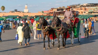 Marakeş, Fas - 15 Eylül 2022: Marakeş 'teki ünlü Jemaa el Fnaa pazar meydanında at arabası. Atlar şehirde turizm amaçlı kullanılır.