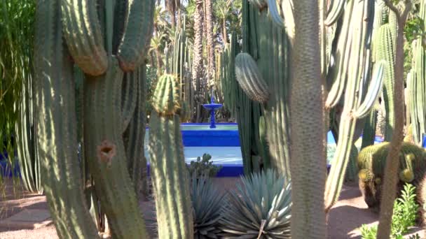 摩洛哥马拉喀什 2022年9月12日 位于Casa Oasis的Yves Saint Laurent Majorelle花园内的蓝色喷泉 这是一个由Yves Saint Laurent在摩洛哥马拉喀什设计的植物园 — 图库视频影像