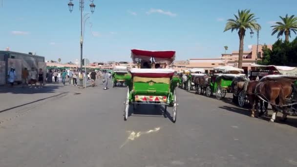 Marrakech Marokko September 2022 Paardrijtuig Het Beroemde Marktplein Jemaa Fnaa — Stockvideo