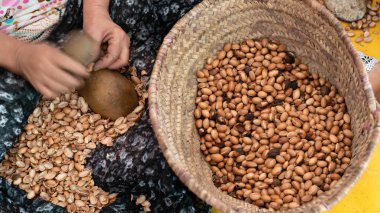 Argan meyveleri üretmek için kooperatifte çalışan bir kadın. Meyveleri açmak için küçük taşlar kullanıyor. Argan cevizini bulup çekirdekleri çıkarıyor..