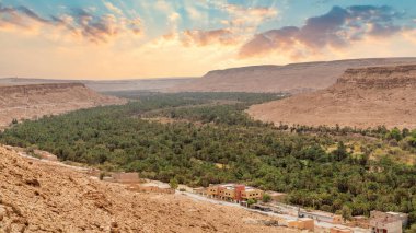 Erfoud kasabası, Tafilalet vahasında, Fas 'ta palmiye ağaçlarıyla çevrili sakin bir çöl kasabasıdır.