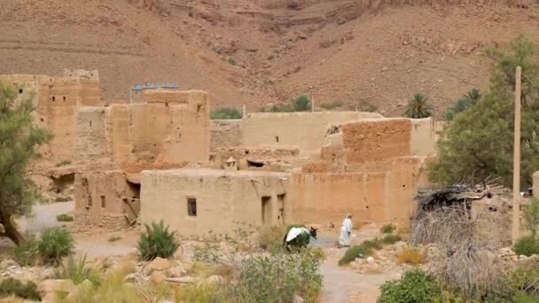 Женщина Идущая Своим Ослом Через Традиционные Марокканские Глиняные Дома Плоскими — стоковое видео