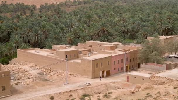 2022年9月13日 一名身份不明的妇女行走在摩洛哥的埃弗德镇 位于塔菲拉莱绿洲 是一个平静的沙漠城镇 周围环绕着棕榈树 — 图库视频影像