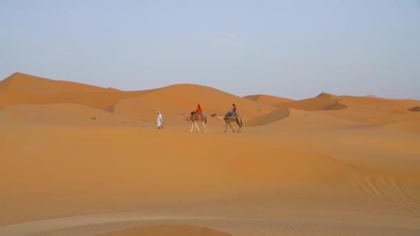 Sahara Desert Morocco September 2022 Tourists Camel Ride Sand Dunes — Stock Video