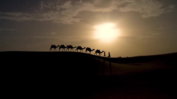 Silueta Dos Hombres Bereberes Liderando Una Caravana Camellos Dunas Arena — Vídeo de stock