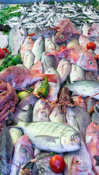 Stall Essaouira Fish Market Variety Fresh Seafood Fishermen Skillfully Clean Royalty Free Stock Photos