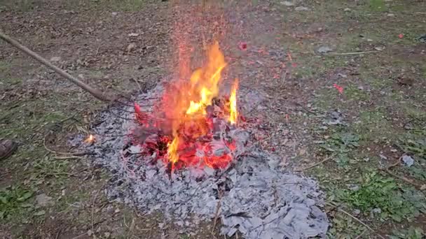 ファーマーはスパイドフォークを使用して火を強化します オープンフィールドで枝や汚れを燃やします スタブルフィールドは農家によって燃やされます — ストック動画