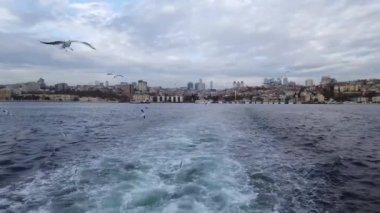İstanbul, Türkiye - 12 Ekim 2023: Beşiktaş ilçesine tepeden bakan Boğaz yolcu gemisi. Martılar tahtayla birlikte uçuyor. Avrupa 'dan Asya' ya yelken açmak