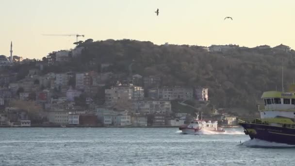Κωνσταντινούπολη Τουρκία Οκτωβρίου 2023 Ένα Αλιευτικό Σκάφος Γλιστρά Ομαλά Κατά — Αρχείο Βίντεο