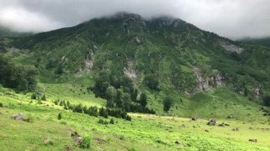 Camili Macahel bölgesindeki Gorgit Platosu, yuvarlanan tepeler ve yemyeşil çayırlarla çevrili, sükunet arayanlar için bir cennet. Karadeniz bölgesi, Artvin, Türkiye