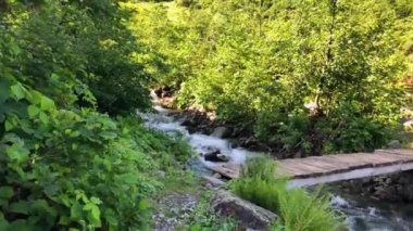Nehir, Türkiye 'nin Karadeniz bölgesinde yemyeşil ve dağlardan yavaşça akar. Yeşil ormanı ve dağları olan güzel Karadeniz dağlık arazisi. Uzun pozlu çekim