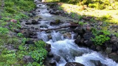 Nehir, Türkiye 'nin Karadeniz bölgesi boyunca yemyeşil ve dağların arasından yavaşça akar. Yeşil ormanı ve dağları olan güzel Karadeniz dağlık arazisi