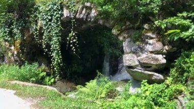 Artvin Karadeniz Bölgesi 'nden akan yemyeşil yemyeşil bir nehir. Bitkilerle dolu güzel bir nehir manzarası.