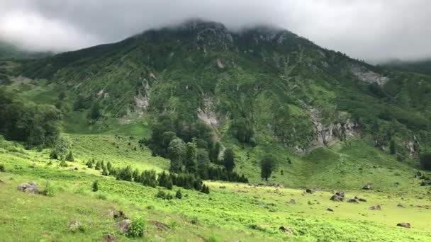 Gorgit Plateau Camili Macahel Regio Omgeven Door Glooiende Heuvels Weelderige — Stockvideo