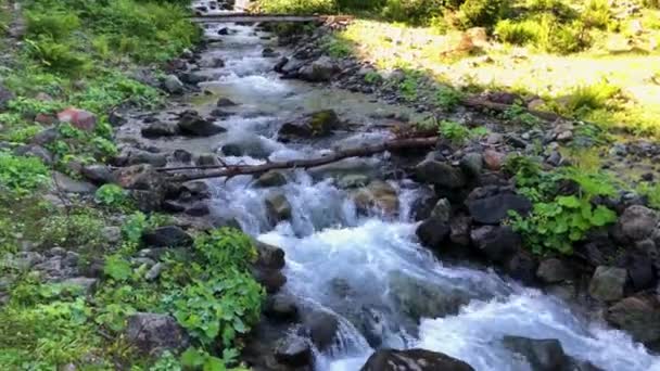 Nehir Türkiye Nin Karadeniz Bölgesi Boyunca Yemyeşil Dağların Arasından Yavaşça — Stok video