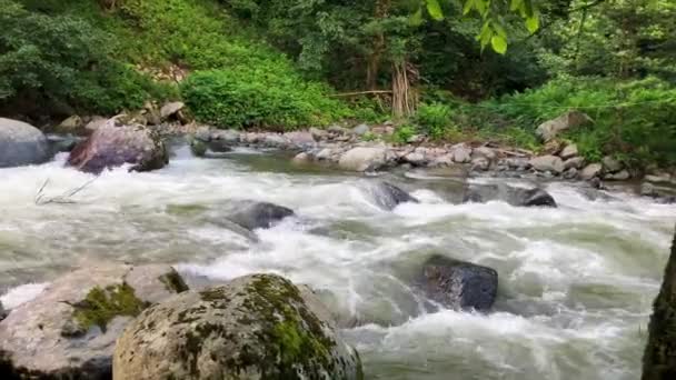 Nehir Türkiye Nin Karadeniz Bölgesinde Yemyeşil Arazi Boyunca Yavaşça Akar — Stok video