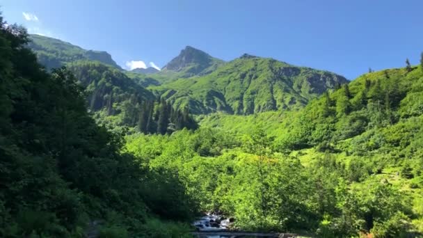 Nehir Türkiye Nin Karadeniz Bölgesi Boyunca Yemyeşil Dağların Arasından Yavaşça — Stok video