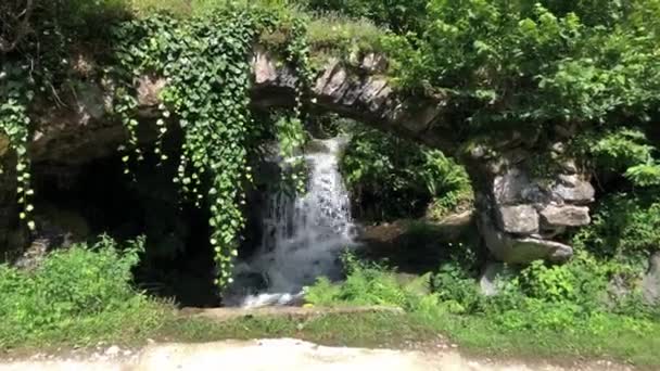 Artvin Karadeniz Bölgesi Nden Akan Yemyeşil Yemyeşil Bir Nehir Bitkilerle — Stok video