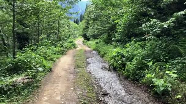 Caminhando Por Uma Estrada Montanha Karcal Montanhas Ostentando Vegetação Exuberante — Vídeo de Stock