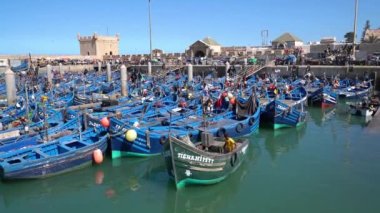 Essaouira, Fas - 17 Eylül 2022: Essaouira limanına yanaşan mavi balıkçı tekneleri, balıkçılar ve yerel halk limanda toplanırken, martılar tepemizde daireler çiziyor.