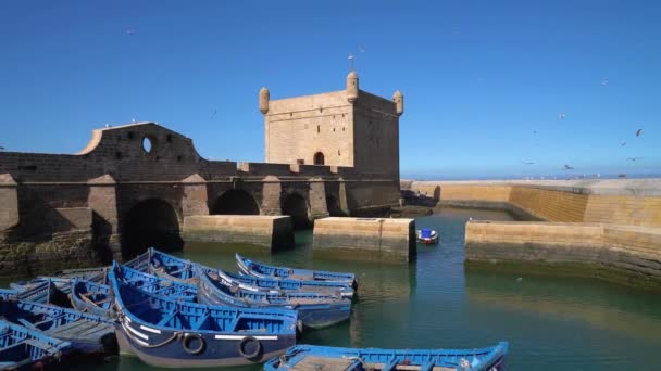 Sqala Port是一座历史悠久的城堡 俯瞰着大西洋 俯瞰着位于摩洛哥埃塞萨乌拉的渔港 许多海鸥在头顶飞翔 — 图库视频影像