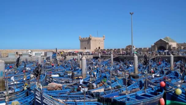 Essaouira Marocko September 2022 Blå Fiskebåtar Dockade Hamnen Essaouira Med — Stockvideo
