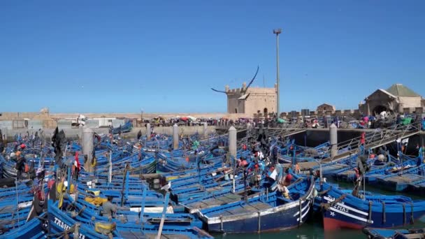 Сувейра Марокко Сентября 2022 Года Голубые Рыбацкие Лодки Причаливают Порту — стоковое видео