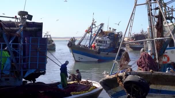 Сувейра Марокко Сентября 2022 Года Рыбацкая Лодка Возвращается Паруса Доставляет — стоковое видео
