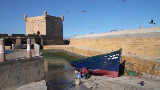モロッコのエサウイラ 2022年9月17日 フィッシャーマンが伝統的な青い漁船をアサウイラ港で描いた — ストック動画