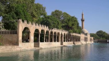 Şanlıurfa, Türkiye - 12 Temmuz 2023: Balikligol balık havuzu ve Halil ur Rahman camisi. Burası Peygamber Abraham 'ın kutsal yeri ve doğduğu yer.