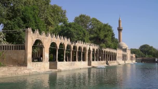 Санлиурфа Турция Июля 2023 Года Рыбный Пруд Баликлиголь Мечеть Халиль — стоковое видео