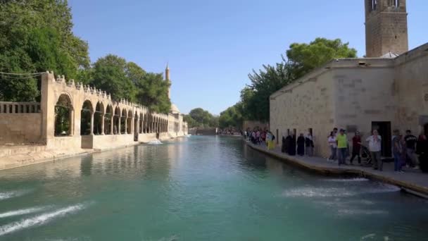 Sanliurfa Τουρκία Ιουλίου 2023 Λίμνη Ψαριών Balikligol Και Τζαμί Halil — Αρχείο Βίντεο