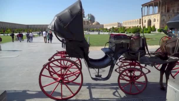 Isfahán Irán Mayo 2023 Carruajes Caballos Esperando Próximo Viaje Plaza — Vídeos de Stock