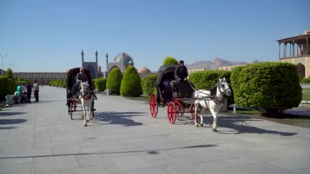 Isfahán Irán Mayo 2023 Turistas Carruajes Caballos Paseando Por Plaza — Vídeos de Stock