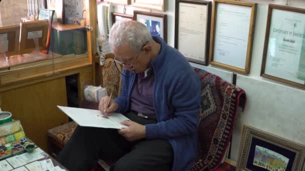 イラン イスファハン 2023年4月12日 伝統的なイランのミニチュアを筆で描いたシニアアーティストで 詳細なストーリーテリングを通じてアーティストの文化的アイデンティティへの献身を反映 — ストック動画