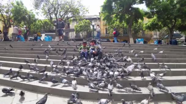 Paz Bolivia Septiembre 2023 Plaza Murillo Los Niños Juegan Alegremente — Vídeos de Stock