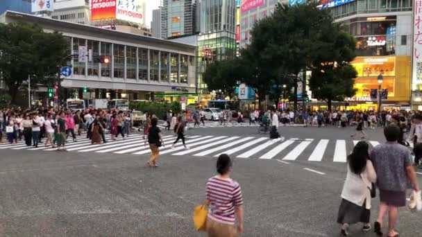 Tokio Japonsko Srpna 2023 Křižovatce Shibuya Crossing Valí Vlna Chodců — Stock video
