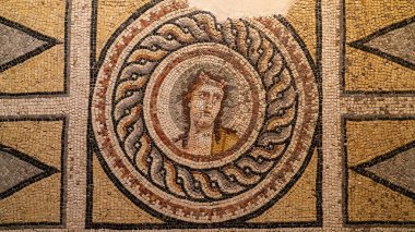 Gaziantep, Turkey - 18 October 2023: A mosaic inside Zeugma Mosaic Museum clipart