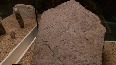 Şanlıurfa, Türkiye - 14.10.2022: Sanliurfa arkeoloji müzesi Göbeklitepe ve çömlek öncesi döneme ait pek çok eseriyle ünlüdür