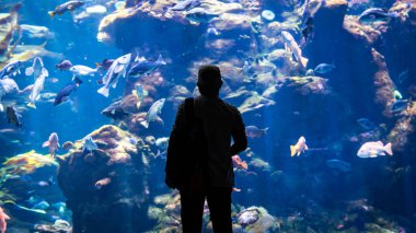 San Francisco, CA, ABD - 13 Ağustos 2019: Okyanustaki balığı izleyen kimliği belirsiz bir adamın silueti