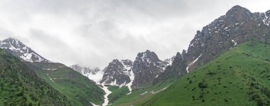Orta Asya 'nın engebeli arazisindeki görkemli dağların ve yemyeşil otlakların yer aldığı geniş yeşil Kırgızistan manzarası