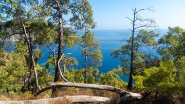 Antalya 'daki Lycian Yolu' ndan görülen çarpıcı Türk Akdeniz kıyı şeridinde her yaz turistleri cezbeden mavi bir deniz, yemyeşil ormanlar ve engebeli kayalık kıyılar yer alıyor..